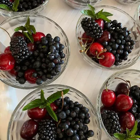 зоряні карпати Guest house *