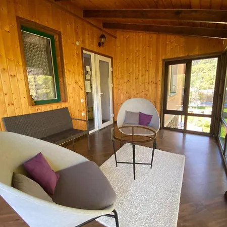 зоряні карпати