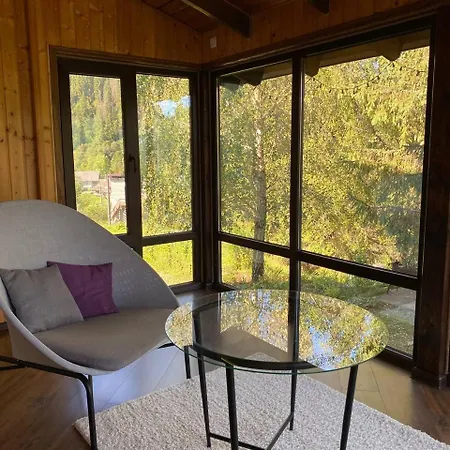 зоряні карпати *