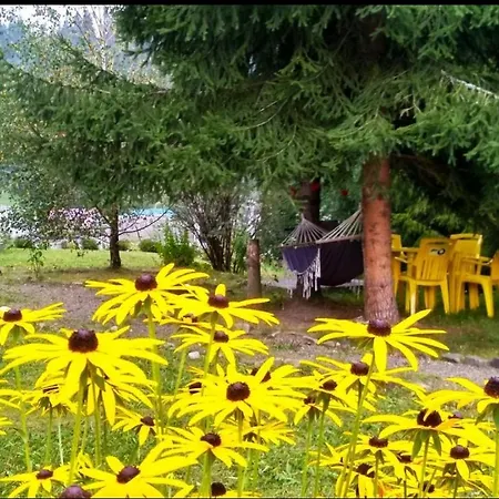Guest house зоряні карпати *